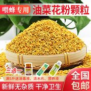 油菜花粉养蜂喂蜂花粉颗粒喂蜂专用2023杂粉颗粒养蜂饲料500g