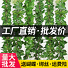 仿真葡萄叶假花藤条藤蔓植物塑料绿萝树叶子绿叶下水管道装饰吊顶