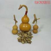 美国铁包金微型小葫芦种子籽特小手捻铁包金葫芦种子3-6厘米