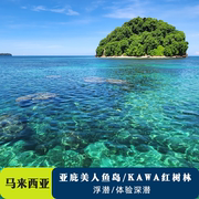 马来西亚旅游亚庇沙巴美人鱼岛一日游浮潜潜水红树林