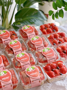 烘焙包装网红草莓奶油蛋糕西点，盒草莓提拉米苏烘焙慕斯甜品打包盒