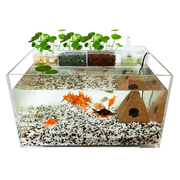 桌面生态鱼缸亚克力乌龟缸，小型水龟缸客厅，水陆造景缸带过滤免换水