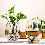 欧式创意恐龙蛋花瓶 透明玻璃花瓶 简约水培绿萝花卉植物玻璃器皿