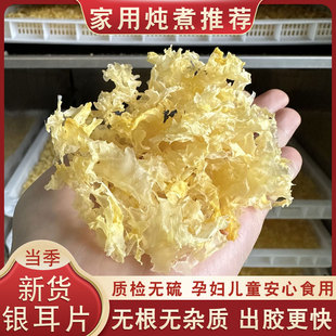 新货无根银耳干货碎片无硫古田特产级，新鲜白木耳雪耳糯耳软糯多胶