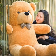 ..大白熊泰迪熊大号公仔熊猫大熊，抱抱熊毛绒玩具熊儿童(熊儿童)礼物送女友