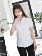 夏季白衬衫条纹女士短袖，竖纹v领韩版棉职业装，正装商务ol衬衣浅蓝