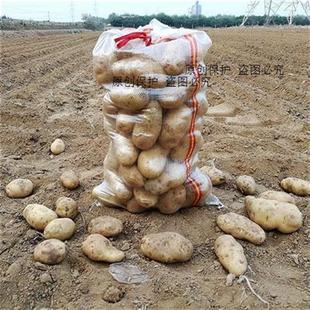 装土豆透明编织袋地瓜土豆袋子葵花籽豆制品打包袋穿口绳