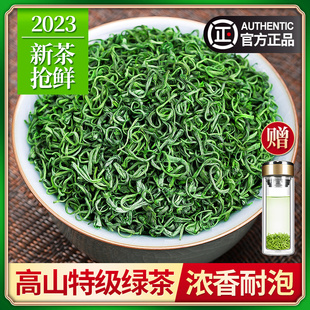 2023年新茶上市 绿茶特级浓香型 大份量500g