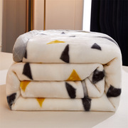冬季拉舍尔毛毯被子双层加厚保暖儿童铺床单人宿舍学生毯子珊瑚绒