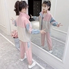 女童秋装套装2024洋气韩版中大童女装宽松网红春秋运动两件套
