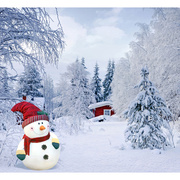 背景布摄影圣诞主题，拍照背景pp纸儿童，影楼背景pp纸雪cm-6406