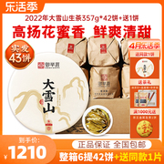 1箱42片+送1片御举茗2022年大雪山云南普洱茶生茶饼七子饼茶