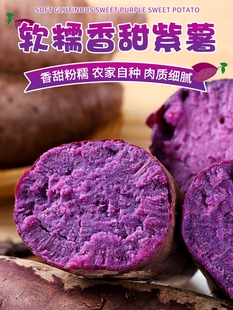 山东紫薯大果10红薯农家蔬菜小番薯沙土山芋地瓜新鲜食用紫心紫皮
