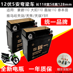 统一摩托车电瓶12V5A雅马哈YBR125天JYM125天戟/天琪免维护电池