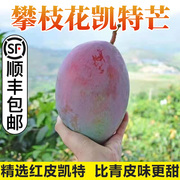 攀枝花芒果爆甜无丝凯特大芒果应当季新鲜水果甜芒果10斤整箱