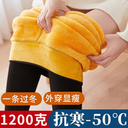 黄金绒加厚加绒打底裤女士冬季外穿1000克东北特厚超厚保暖裤