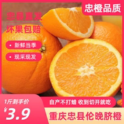 忠县伦晚脐橙新鲜水果橙子重庆产地直发5斤整箱孕妇冰糖柑橘