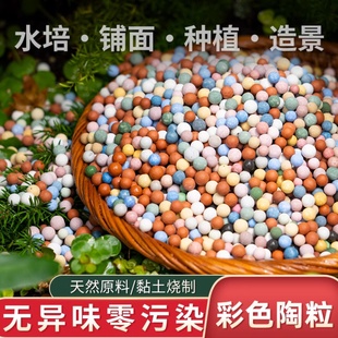 彩色陶粒养花水培专用垫底透气花卉，盆栽铺面石鱼缸(石鱼缸)造景多肉营养土