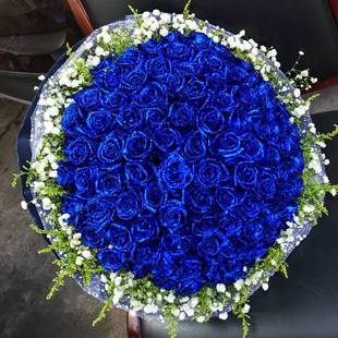 99朵蓝玫瑰花束蓝色妖姬生日鲜花速递成都同城郑州花店配送花