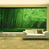 大自然风景绿竹林竹子简约3大型壁纸壁画，客厅沙发卧室5背景墙纸