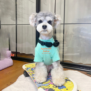 狗狗衣服夏季小型犬薄款彩色，t恤宠物猫咪衣服，可爱泰迪雪纳瑞衣服