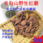 东北红松伞红蘑菇干货 长白山特此肉蘑松蘑菇小鸡炖蘑菇炖肉