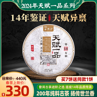 书呆子春茶2024年天赋一品景迈普洱茶生茶茶叶，茶饼古树茶七子