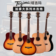 Tagima塔吉玛41寸36寸儿童成人初学者单板民谣吉他缺角电箱木吉他