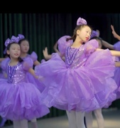 奇妙的惊喜演出服迪士尼玲娜贝尔紫色蓬蓬裙幼儿园，六一公主裙音乐