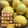 农家安岳新鲜黄(新鲜黄)柠檬泡水三级丑果榨汁10斤奶茶店专用不打蜡大果