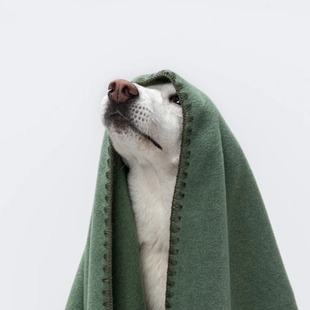 暖暖宠物毯 德国进口Cloud7宠物毯狗猫用柔软防静电petisan