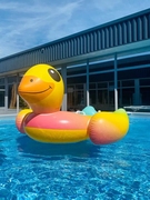 超大大黄鸭充气坐骑游泳圈水，上浮排浮床，漂浮加厚环保聚会拍照道具