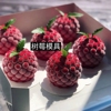 4连立体树莓硅胶模具创意水果法式甜点蛋糕磨具甜品diy烘焙用具