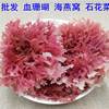 一级红石花菜500麒麟菜血珊瑚，草海燕窝海石花，膏海凉粉海冻菜干