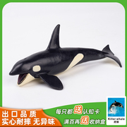 仿真动物玩具套装海洋，模型实心摆件虎鲸，鲸鱼认知儿童礼物