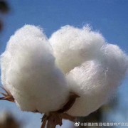 新疆长绒棉被芯棉花全棉纯棉花被冬被床垫棉絮垫被褥棉胎被子褥子