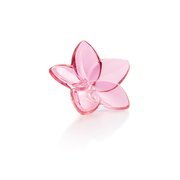 欧洲直邮baccarat巴卡拉绽放系列，花朵摆件粉色创意时尚晶莹水晶