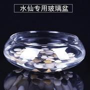 水仙花盆玻璃透明水培圆形花瓶铜钱草碗莲花盆鱼缸圆形金鱼缸