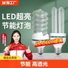 led灯泡u型节能玉米灯e27螺口台灯灯管5w8w超亮日光灯螺旋照明