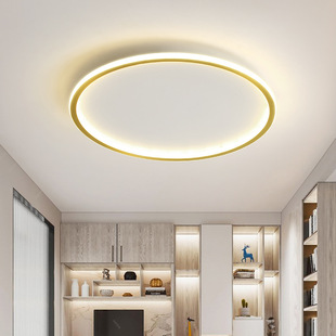 现代简约卧室灯美式小客厅创意个性，轻奢房间书房金色圆形吸顶灯