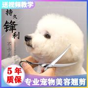 安全剃毛套装比熊直剪工具包犬宠物剪猫咪狗毛博美修剪金毛贵宾