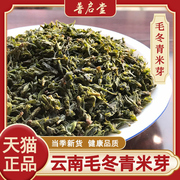 23年新茶毛冬青(毛，冬青)米芽茶云南嫩芽，米芽青山绿水茶叶