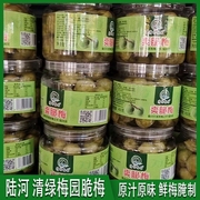 清绿梅园爽脆梅原味无核话梅陈皮梅休闲解馋零食酸甜蜜饯包装开胃