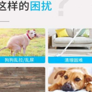 狗撒尿盆厕所便盆尿盆防尿溅小型犬泰迪比熊犬用品尿片室内立柱引