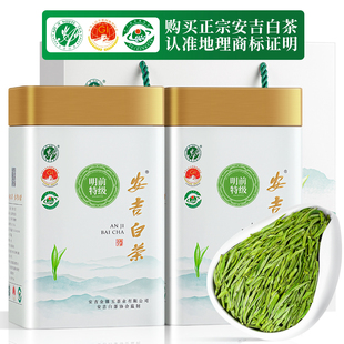 正宗安吉白茶2024新茶特级明前绿茶珍稀白茶散装罐装茶叶礼盒装