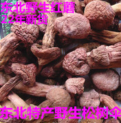 红蘑菇松树伞东北特产，蘑菇肉蘑菇蘑菇小松蘑新鲜干货250g