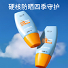 小黄帽防晒霜乳SPF50秋冬女面部美白身体隔离防紫外线男