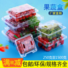100个一次性透明水果塑料盒有盖保鲜果捞蔬菜草莓打包装拼盘