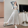 白色法式蓬蓬裙女夏季薄款2024气质，仙女半身裙a字芭蕾蛋糕裙