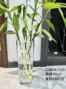 加厚落地锥形方形玻璃花瓶透明插花水养水培富贵竹客厅摆件花器